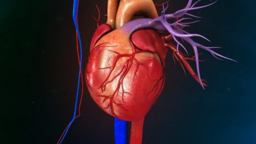 روش های ساده تشخیص در بیماری های قلب و شرائین کرونر